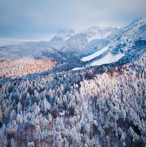 巴伐利亞的冬季